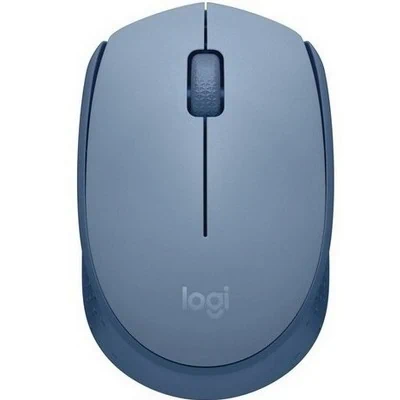 עכבר אלחוטי למחשב LogiTech M171